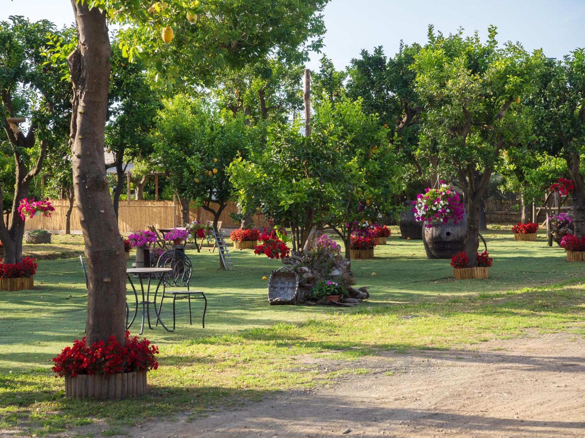 Giardino Di Nonno Lucio - Surrounded By Lemon Tree Villa Piano di Sorrento Exterior photo