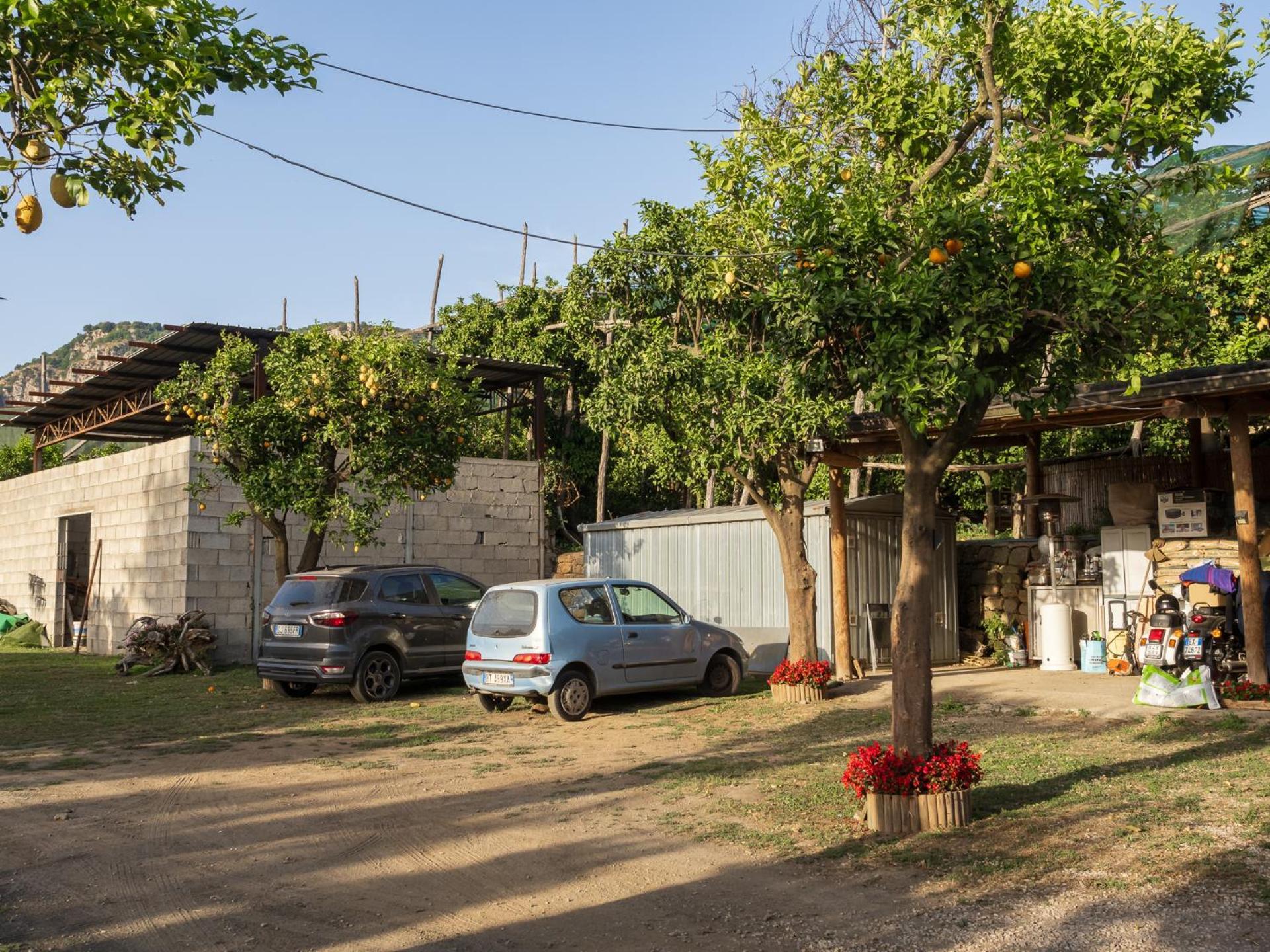 Giardino Di Nonno Lucio - Surrounded By Lemon Tree Villa Piano di Sorrento Exterior photo