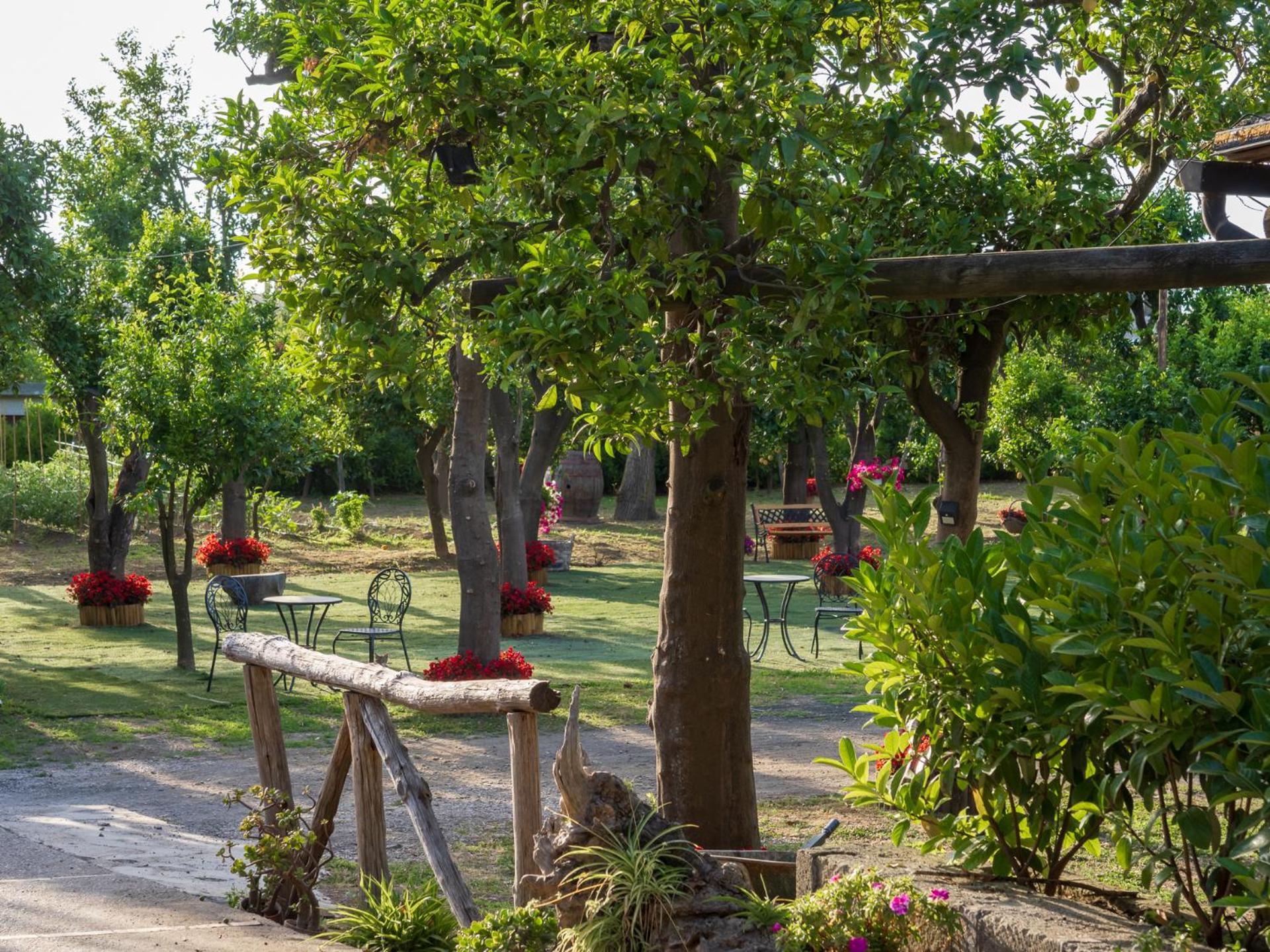 Giardino Di Nonno Lucio - Surrounded By Lemon Tree Villa Piano di Sorrento Exterior photo