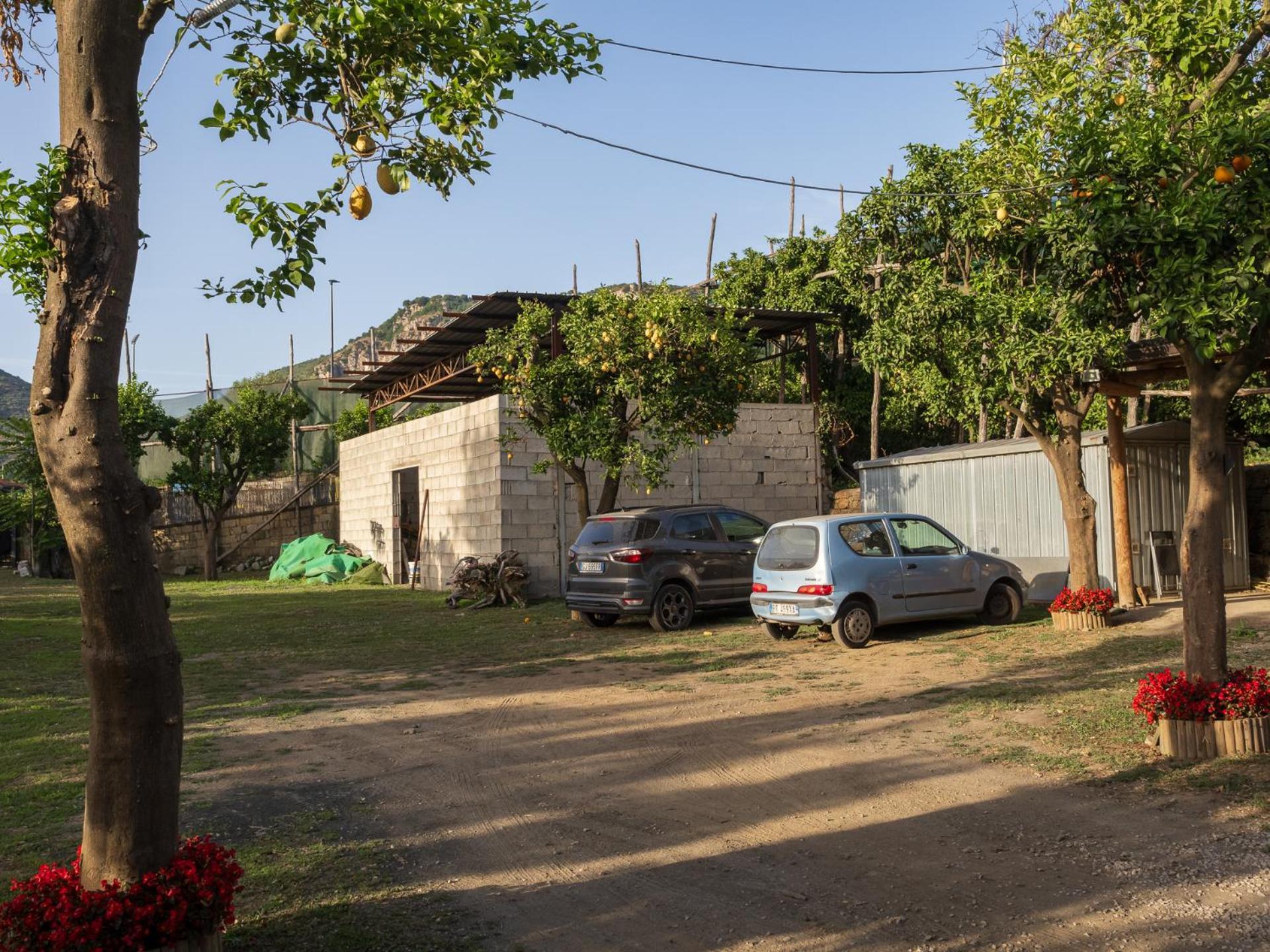 Giardino Di Nonno Lucio - Surrounded By Lemon Tree Villa Piano di Sorrento Exterior photo