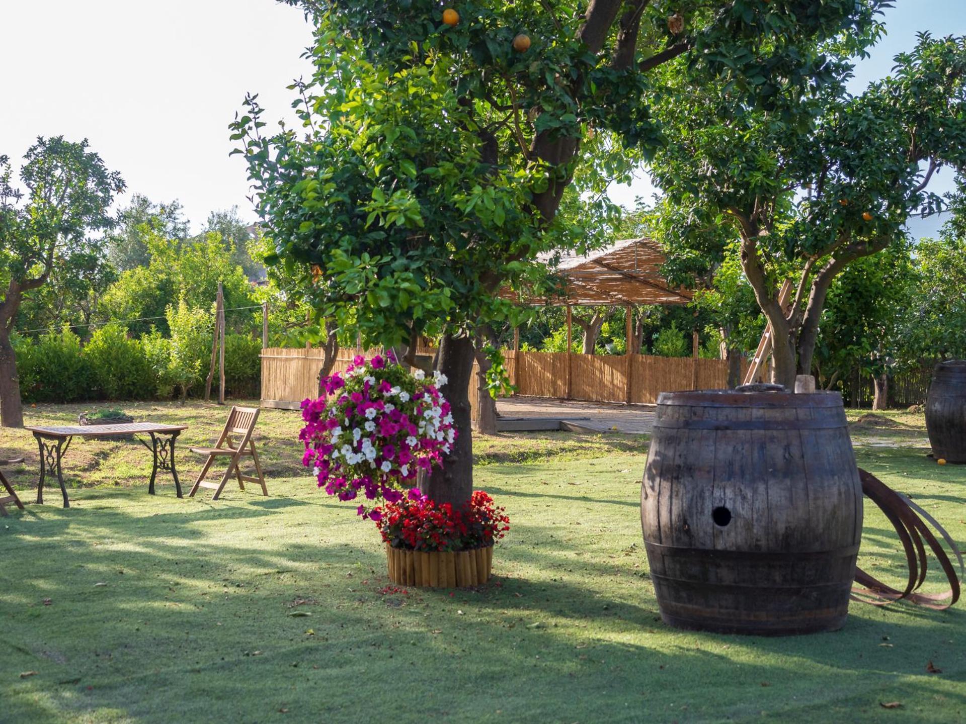 Giardino Di Nonno Lucio - Surrounded By Lemon Tree Villa Piano di Sorrento Exterior photo