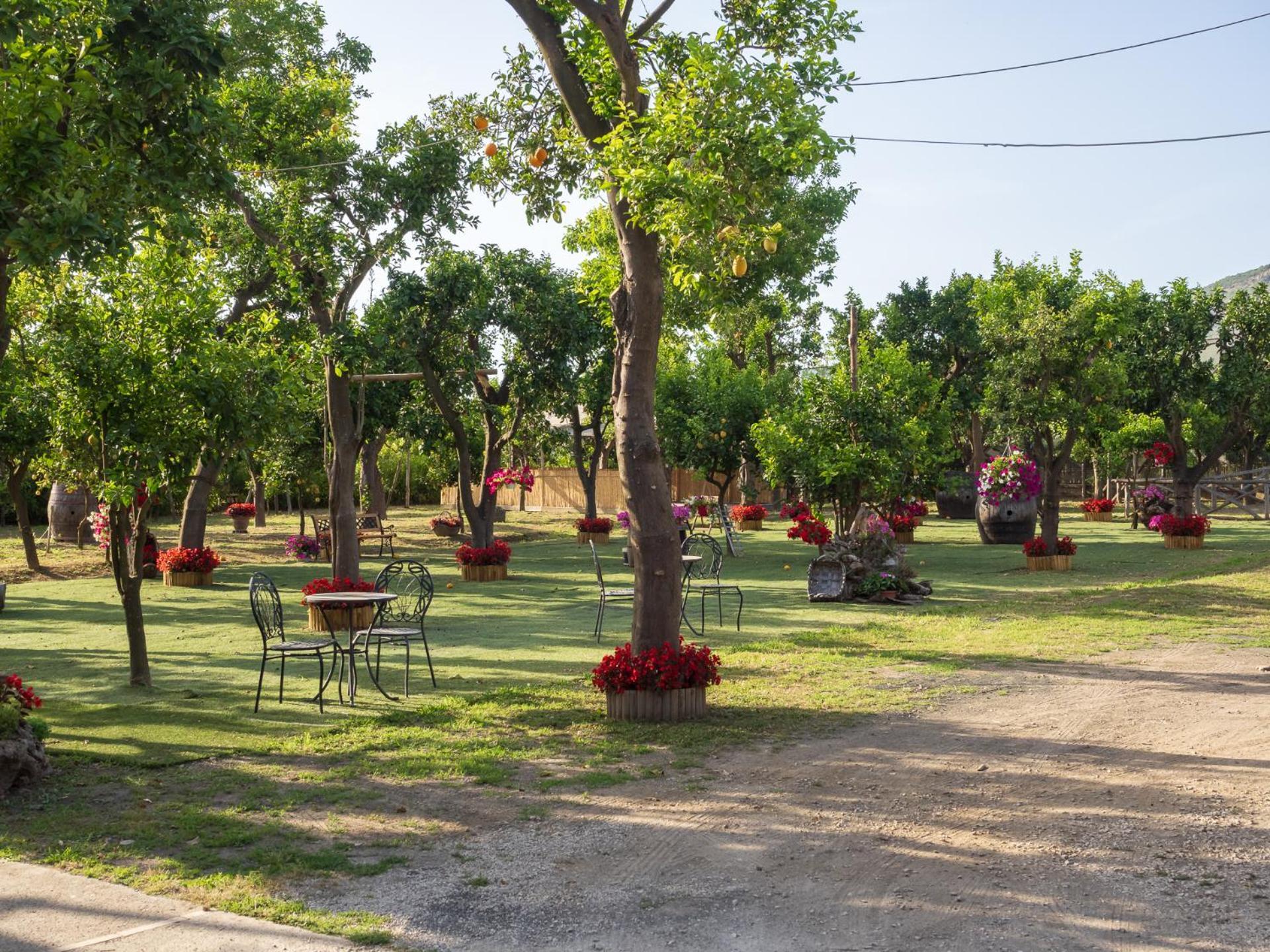 Giardino Di Nonno Lucio - Surrounded By Lemon Tree Villa Piano di Sorrento Exterior photo