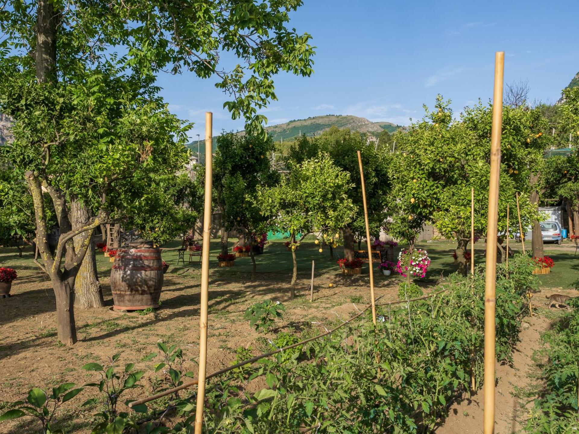 Giardino Di Nonno Lucio - Surrounded By Lemon Tree Villa Piano di Sorrento Exterior photo