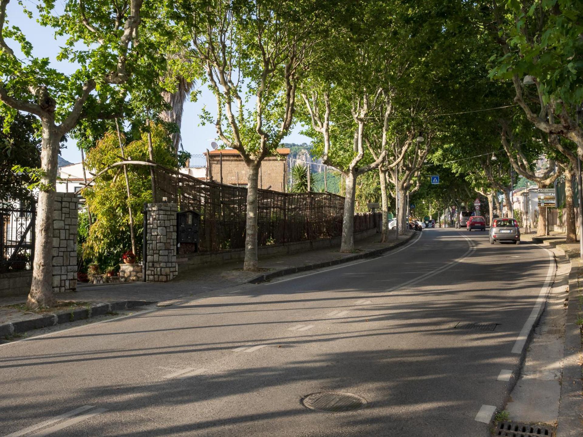 Giardino Di Nonno Lucio - Surrounded By Lemon Tree Villa Piano di Sorrento Exterior photo
