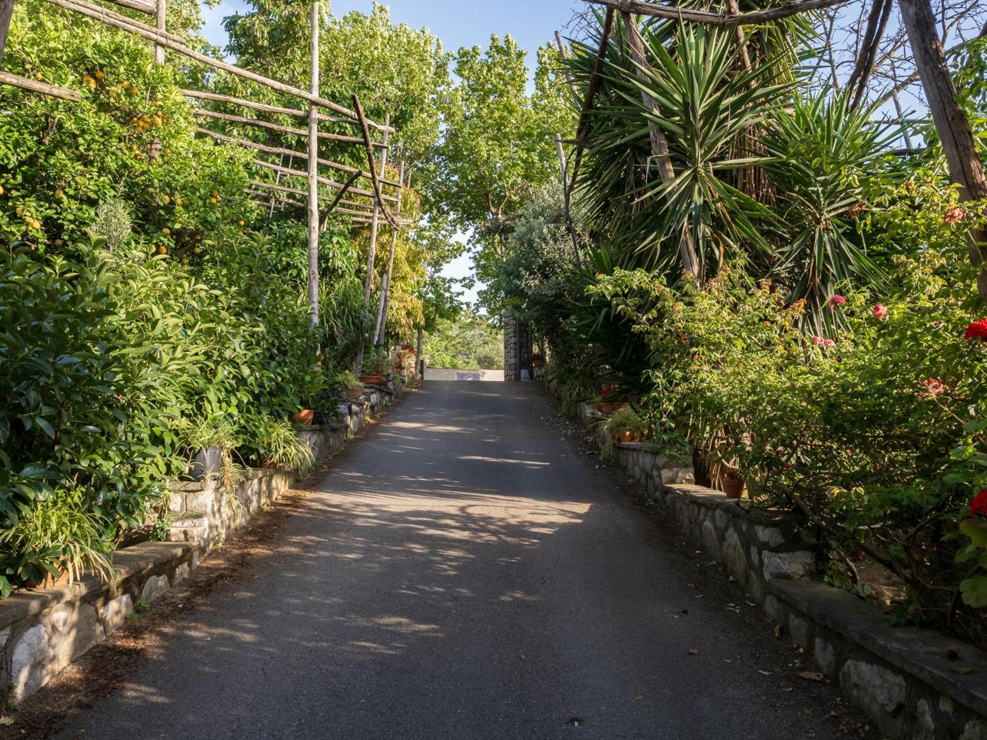 Giardino Di Nonno Lucio - Surrounded By Lemon Tree Villa Piano di Sorrento Exterior photo