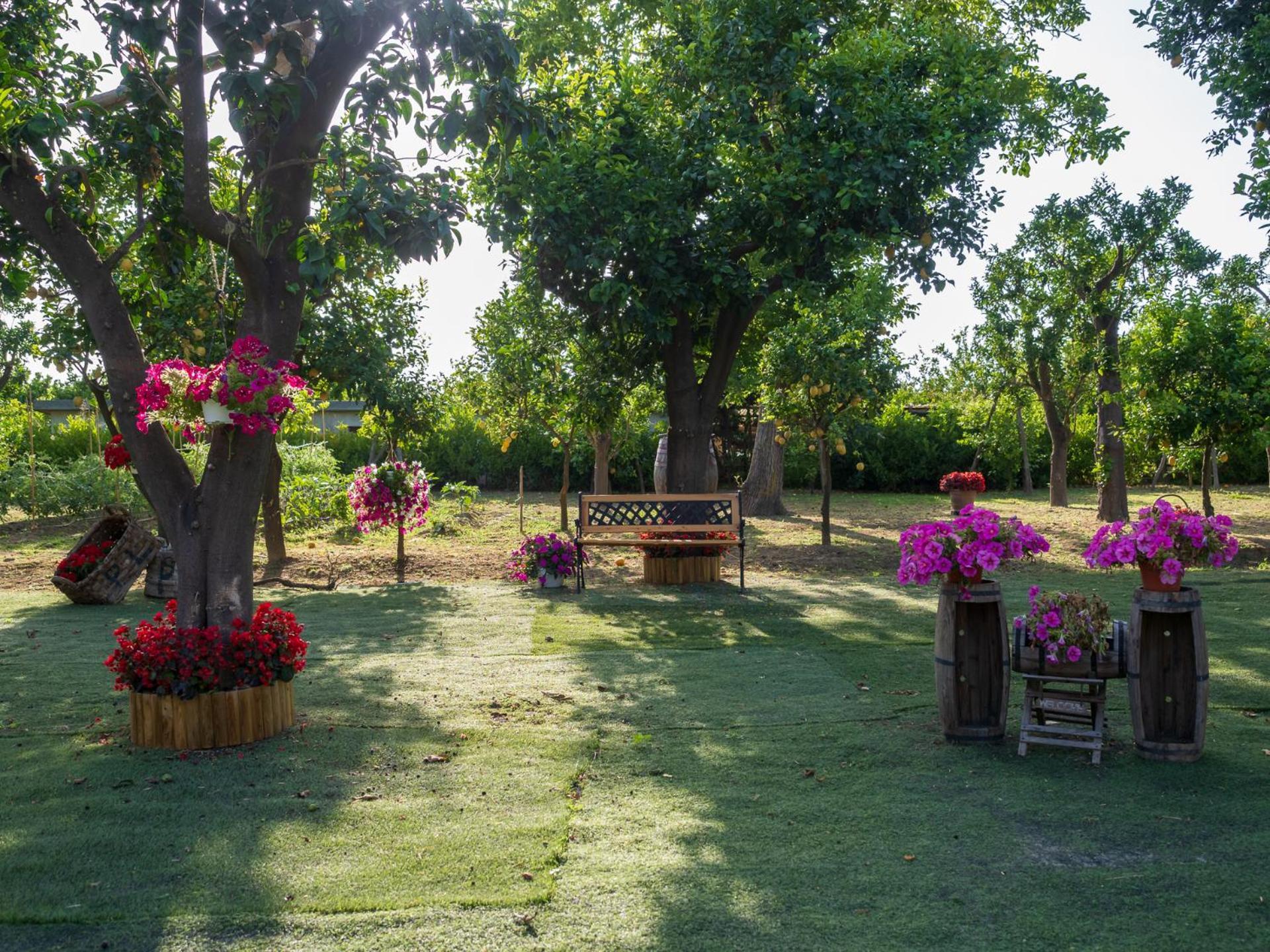 Giardino Di Nonno Lucio - Surrounded By Lemon Tree Villa Piano di Sorrento Exterior photo